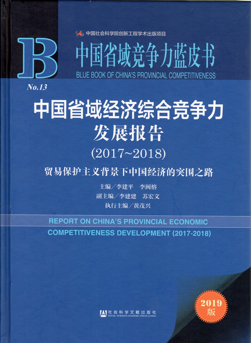 两个大鸡巴操一个小嫩逼视频中国省域经济综合竞争力发展报告（2017-2018）